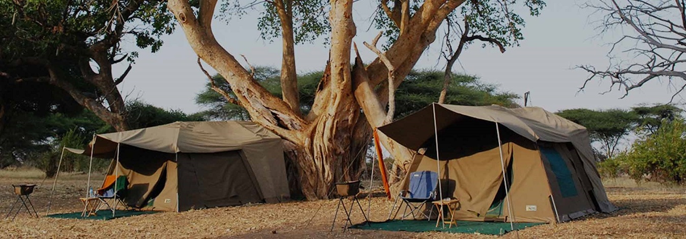 What is Tanzania Camping Safari?
