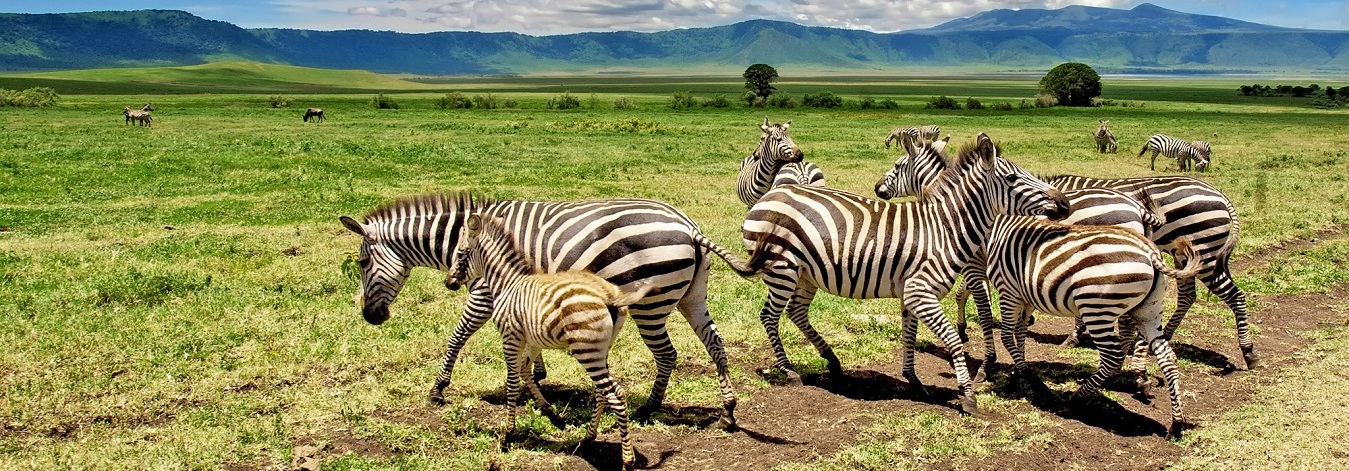 How Long Should Your Tanzania Safari Be?